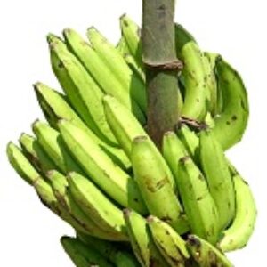 Buy Igbo Unripe Banana